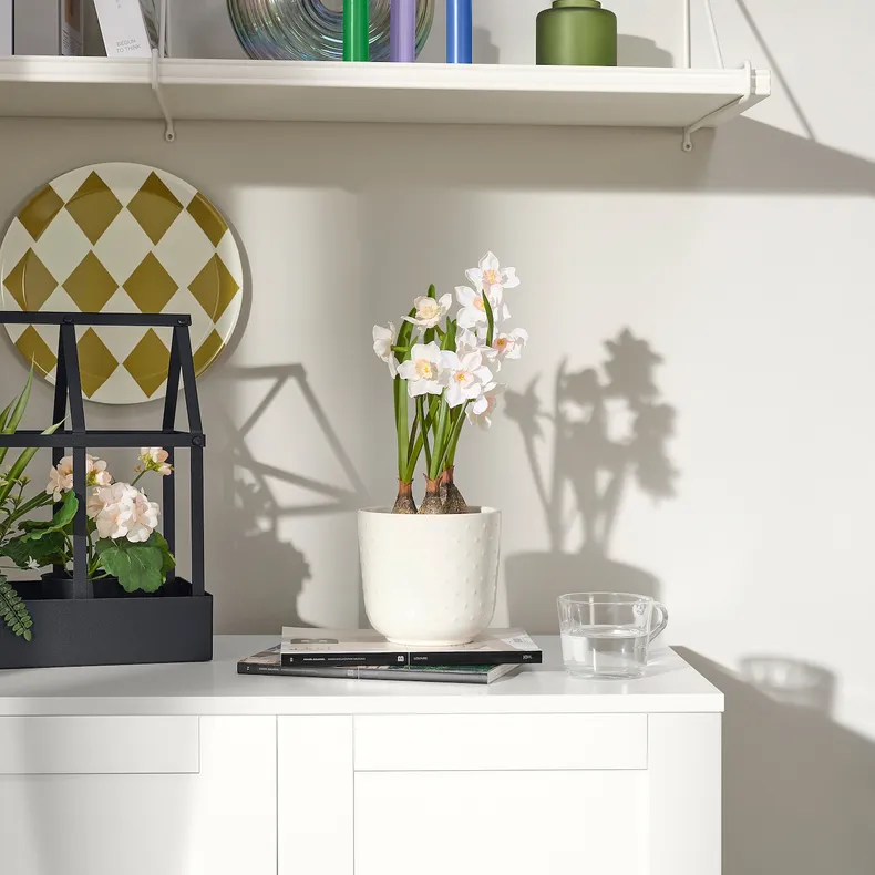 IKEA FEJKA ФЕЙКА, штучна рослина в горщику, внутрішній / зовнішній / білий подружжя, 12 см 305.716.87 фото №3