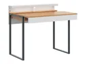 Письменный стол BRW Darin, 100х57 см, дуб арлингтон / альпийский белый BIU-DAAN/BAL фото thumb №3