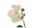 BRW штучна орхідея в горщику 080516 фото thumb №2