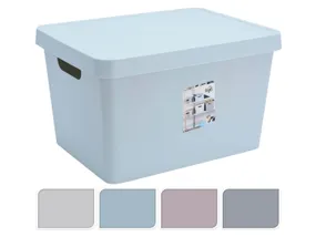 BRW коробковий мікс кольорів 081437 фото