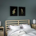 IKEA BILD БІЛЬД, постер, Flora Delanica II, 40x50 см 004.469.30 фото thumb №3