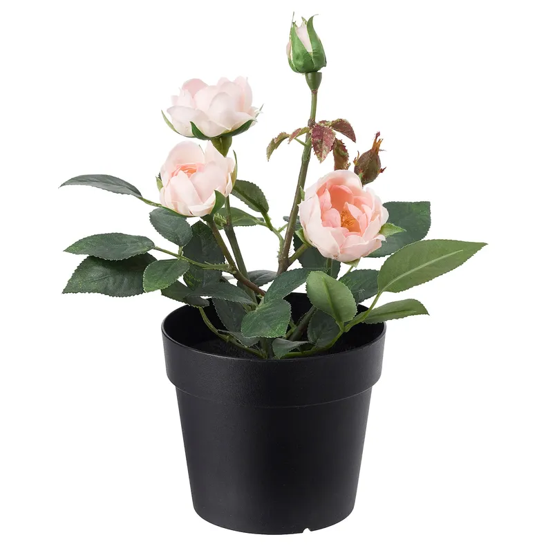IKEA FEJKA ФЕЙКА, штучна рослина в горщику, для приміщення / вулиці / Троянда рожевий, 9 см 003.953.13 фото №1