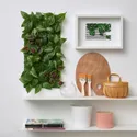 IKEA FEJKA ФЕЙКА, штучна рослина, настінний / для приміщення / вулиці зелений / бузковий, 26x26 см 505.465.69 фото thumb №3