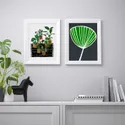 IKEA BILD БИЛЬД, постер, горшечные растения, 30x40 см 105.334.46 фото thumb №2