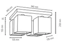 BRW Дерев'яний 4-точковий стельовий світильник Inger коричнево-білий 075243 фото thumb №2