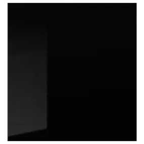IKEA SELSVIKEN СЕЛЬСВИКЕН, дверь, глянцевый черный, 60x64 см 002.916.26 фото