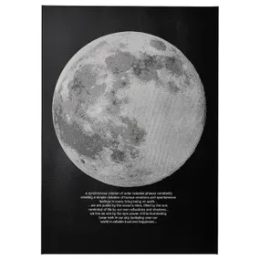 IKEA PJÄTTERYD ПЙЕТТЕРЮД, картина, місячне світло, 50x70 см 505.545.02 фото