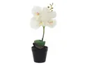 BRW Искусственная орхидея в горшке 30 см белая 090881 фото thumb №1
