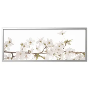 IKEA BJÖRKSTA БЬЙОРКСТА, картина з рамкою, білі квіти / срібло, 140x56 см 495.089.31 фото