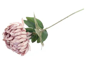 BRW одиночна хризантема рожева 090094 фото