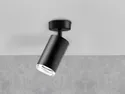BRW Потолочный светильник для ванной комнаты Turin spot aluminium black 093312 фото thumb №2