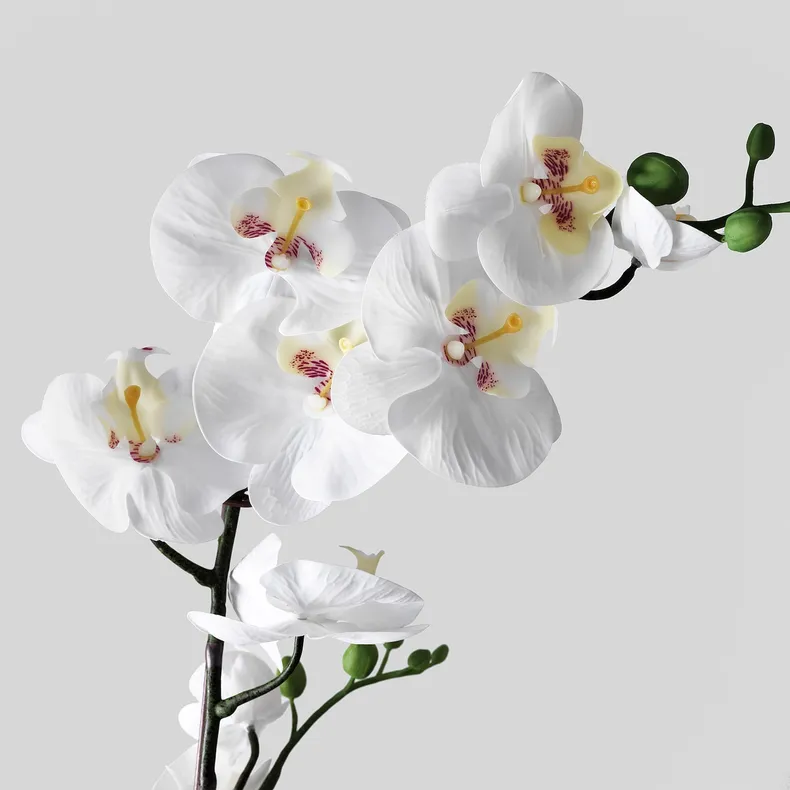 IKEA FEJKA ФЕЙКА, искусственное растение в горшке, Орхидея белый, 12 см 802.859.09 фото №3