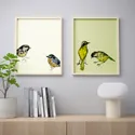 IKEA BILD БІЛЬД, постер, Міські птахи II, 40x50 см 304.360.34 фото thumb №3