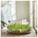 IKEA HEDERSAM ХЕДЕРСАМ, ароматизована квіткова суміш, Свіжа трава / салатовий колір, 90 g 805.027.43 фото thumb №5