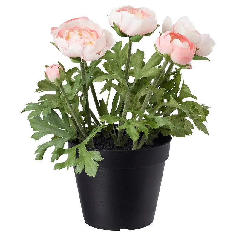 IKEA FEJKA ФЕЙКА, искусственное растение в горшке, внутренний / наружный / аспарагус розовый, 12 см 003.952.90 фото №1