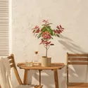IKEA FEJKA ФЕЙКА, искусственное растение в горшке, Крытые/открытые вигвамы Подольски, 12 см 605.825.09 фото thumb №3