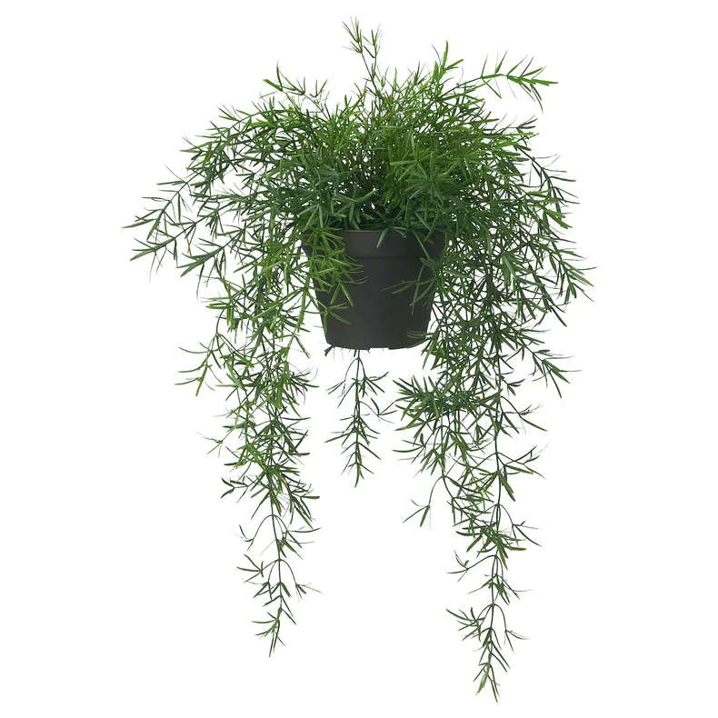 IKEA FEJKA ФЕЙКА, штучна рослина в горщику, для приміщення / вулиці Аспарагус / підвісний, 12 см 005.716.79 фото №1