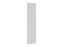 BRW Боковая панель высотой 220 см светло-серый глянец, светло-серый глянец FH_PA_D_/220-XRAL7047 фото thumb №2