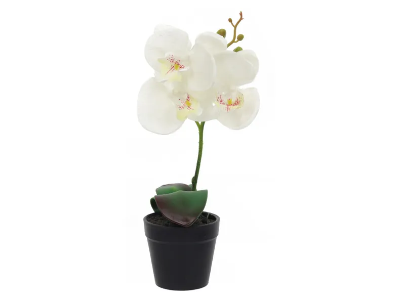 BRW штучна орхідея в горщику 30 см біла 090881 фото №1
