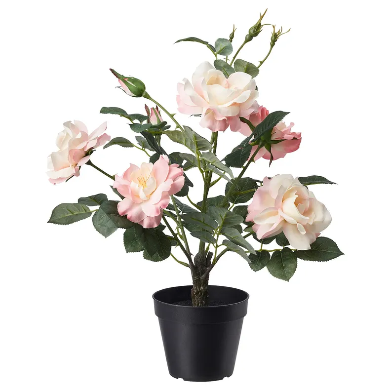 IKEA FEJKA ФЕЙКА, штучна рослина в горщику, для приміщення / вулиці / Троянда рожевий, 12 см 905.327.73 фото №1