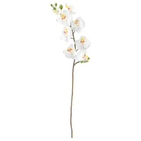 IKEA SMYCKA СМИККА, цветок искусственный, Орхидея / белый, 60 см 803.335.85 фото