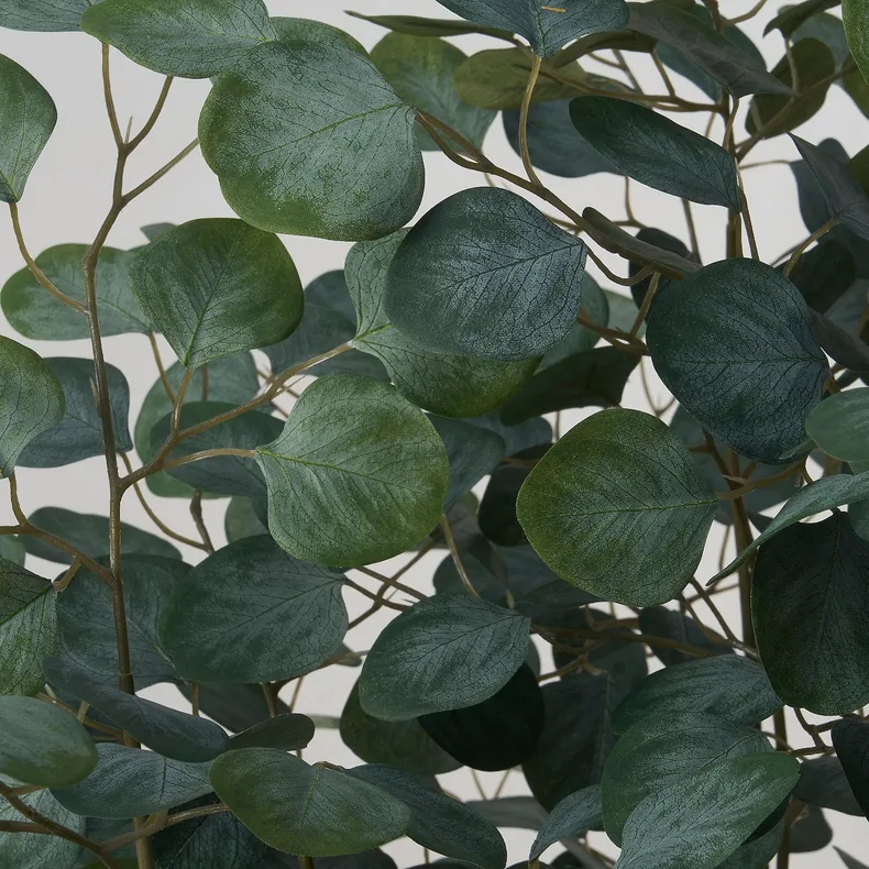 IKEA FEJKA ФЕЙКА, искусственное растение в горшке, Эвкалипт для помещений/наружных работ, 19 см 605.825.14 фото №4