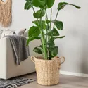 IKEA TÖRNBÄR ТЁРНБЭР, кашпо, Банановое волокно ручной работы, 32 см 705.247.07 фото thumb №3