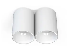 BRW Двухточечный накладной светильник Eye tone в стальном белом цвете 085485 фото