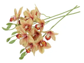 BRW букет орхидей 40 см 3 шт крупноцветные 090914 фото