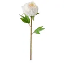 IKEA SMYCKA СМИККА, цветок искусственный, Пион / белый, 30 см 804.097.83 фото thumb №1