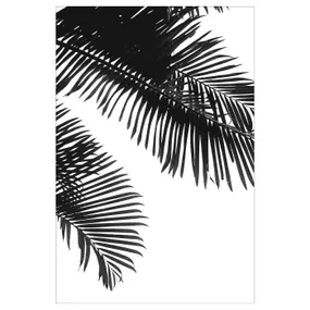 IKEA BILD БИЛЬД, постер, Линейные пальмовые листья, 61x91 см 404.422.56 фото