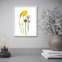 IKEA BILD БІЛЬД, постер, Цвітіння квітів II, 30x40 см 504.361.13 фото thumb №2