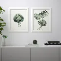 IKEA BILD БИЛЬД, постер, Зеленые листья, 40x50 см 204.360.39 фото thumb №2