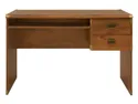 Письмовий стіл BRW Indiana, 120х65 см, дуб JBIU2S-DSU фото thumb №2