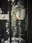 IKEA FEJKA ФЕЙКА, штучна рослина в горщику, кімнатні / зовнішні підвісні / евкаліпт, 9 см 704.668.11 фото thumb №3