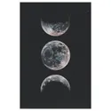 IKEA BILD БІЛЬД, постер, Місяць, 61x91 см 004.417.96 фото thumb №1