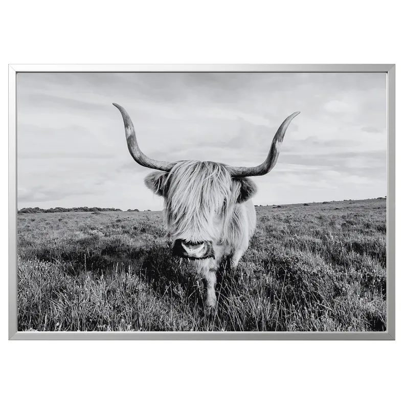 IKEA BJÖRKSTA БЬЙОРКСТА, картина з рамкою, цікава корова / срібло, 140x100 см 095.089.14 фото №1