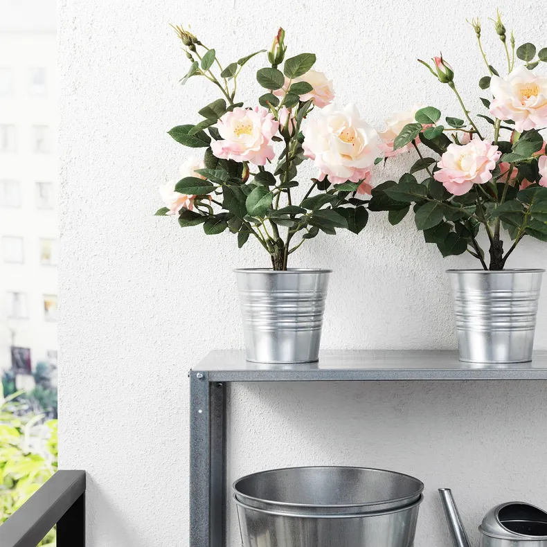 IKEA FEJKA ФЕЙКА, штучна рослина в горщику, для приміщення / вулиці / Троянда рожевий, 12 см 905.327.73 фото №3