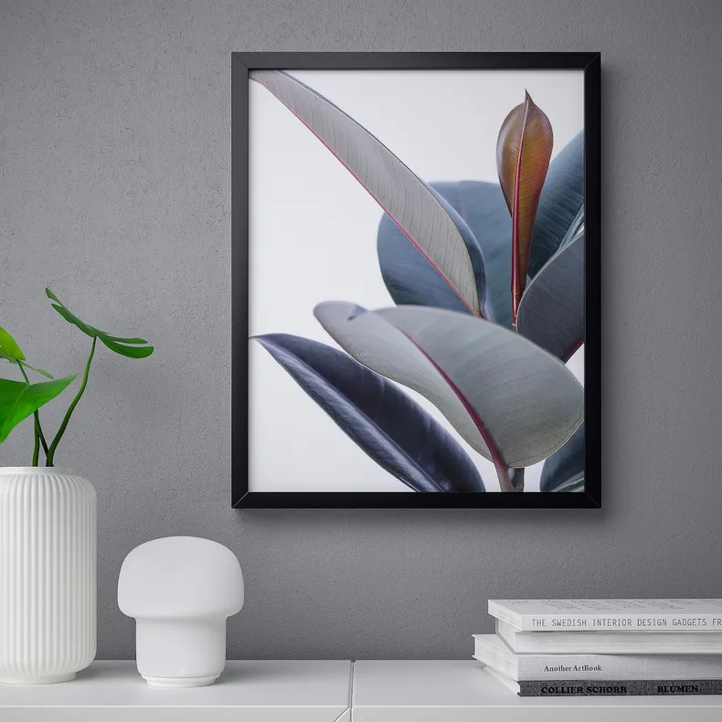 IKEA BILD БИЛЬД, постер, Горшечное растение - Зей, 40x50 см 804.420.75 фото №2