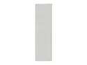 BRW Боковая стенка высотой 197 см светло-серый глянец, светло-серый глянец FH_PA_D_/197-XRAL7047 фото thumb №1