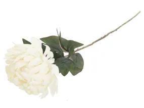 BRW одиночна біла хризантема 090092 фото