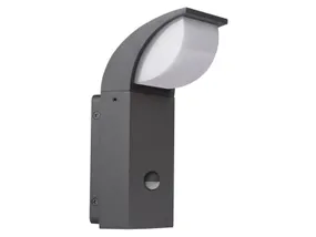 BRW Садовый настенный светильник Abete LED с датчиком движения 087997 фото