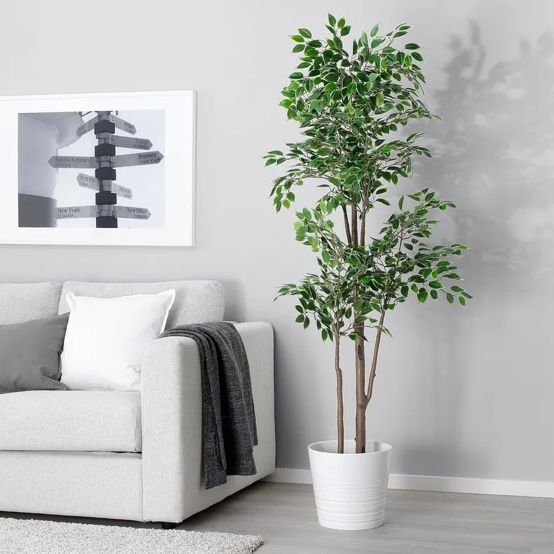 IKEA FEJKA ФЕЙКА, искусственное растение в горшке, комнатный / открытый Плакучая фига, 21 см 704.915.75 фото №2