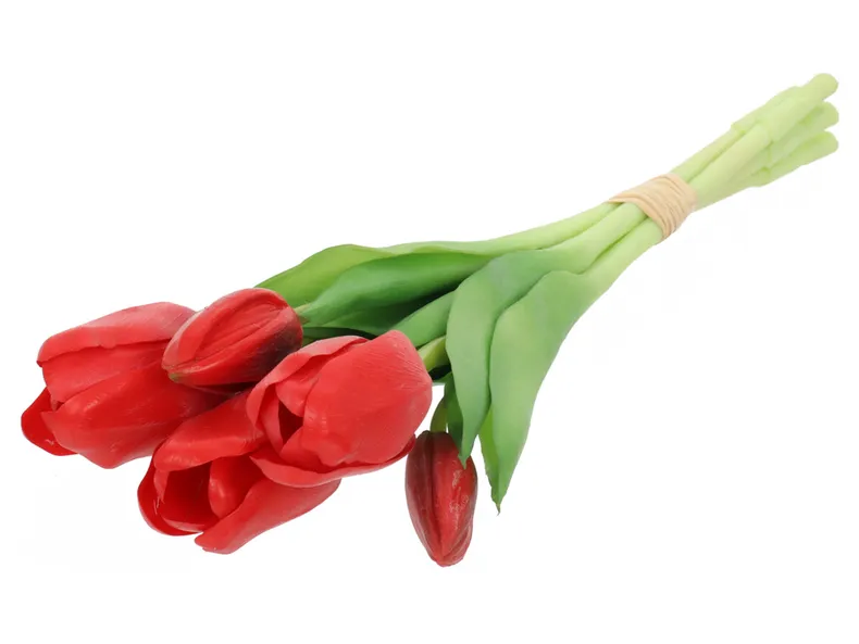 BRW Букет тюльпанов 28 см 5 шт прорезиненный красный 090934 фото №1