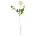 IKEA SMYCKA СМЮККА, штучна квітка, ранункулюс / білий, 52 см 203.357.14 фото thumb №1