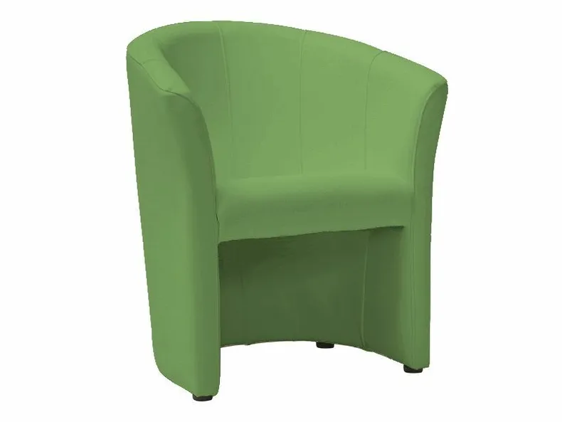 Кресло мягкое SIGNAL TM-1, экокожа: зеленый фото №1