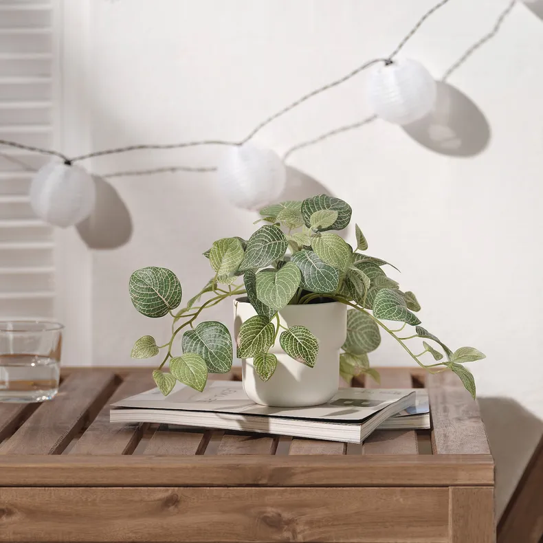 IKEA FEJKA ФЕЙКА, штучна рослина в горщику, для приміщення / вулиці фіттонія / підвісний, 9 см 405.716.77 фото №3