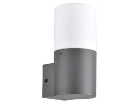 BRW Уличный настенный светильник Dallas алюминиевый бело-серый 093263 фото