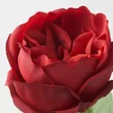IKEA SMYCKA СМЮККА, штучна квітка, внутрішній / зовнішній / рожево-червоний, 52 см 405.717.95 фото thumb №4