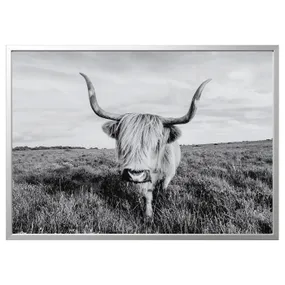 IKEA BJÖRKSTA БЬЙОРКСТА, картина з рамкою, цікава корова / срібло, 140x100 см 095.089.14 фото